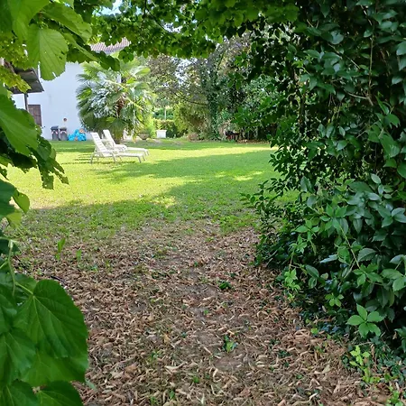 Panorama パドヴァ