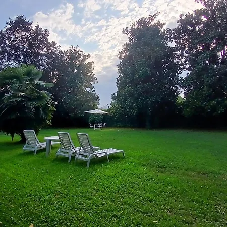 Panorama بادوفا